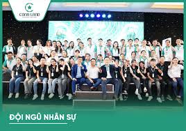 lĩnh vực hoạt động